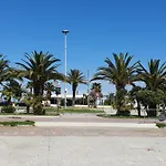Silvy 西维尔诺瓦·马尔凯